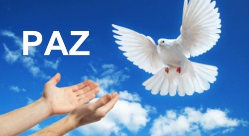 Tanta PAZ e PAZ nenhuma!