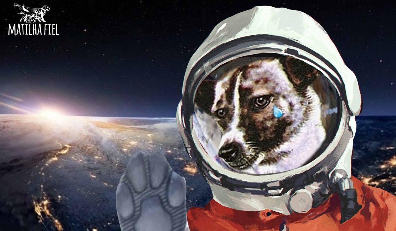 LAIKA, a cadela sacrificada
